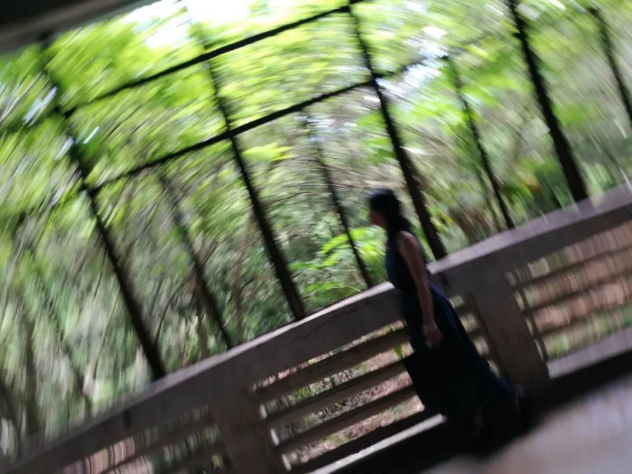 四年