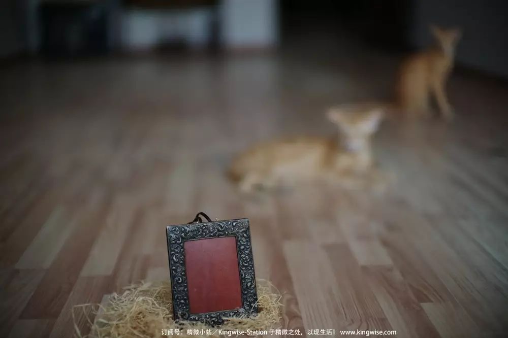 一枚复古相框的诞生日志