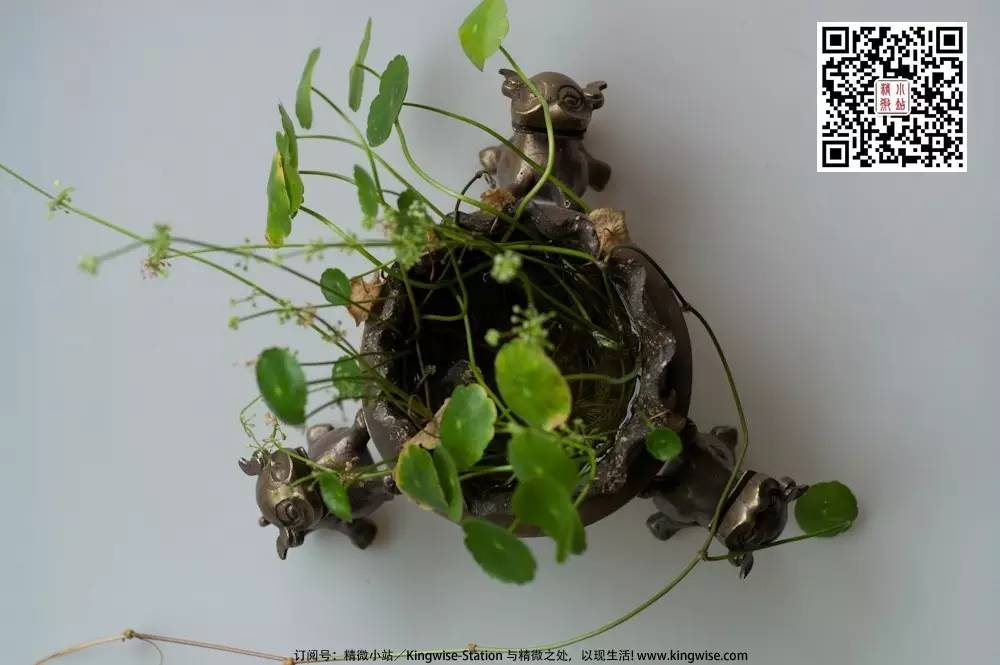 萌兽壶架 萌兽壶架