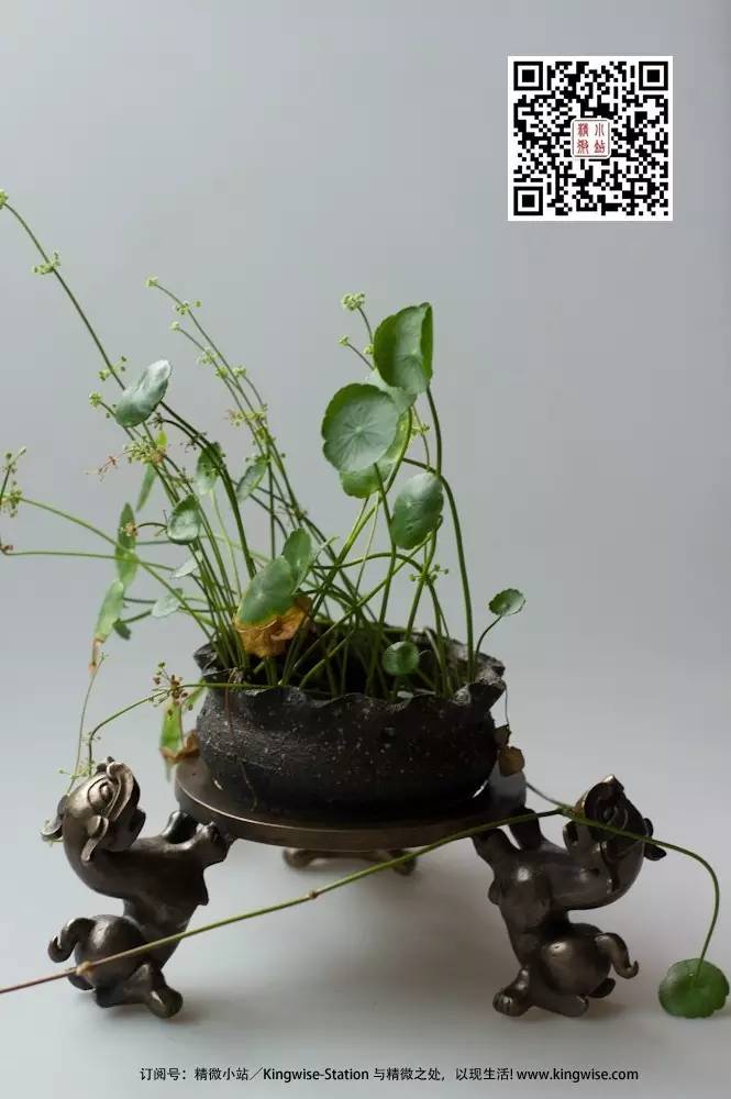 萌兽壶架 萌兽壶架