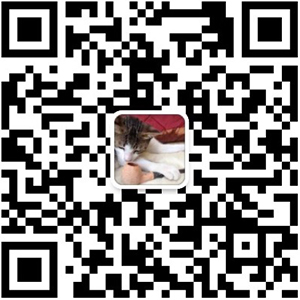 友情公众号