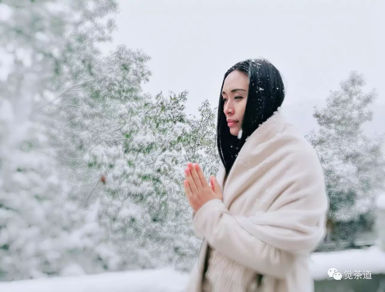 【觉茶道】品茶悟道，缘劫由心——汪云老师的茶人生