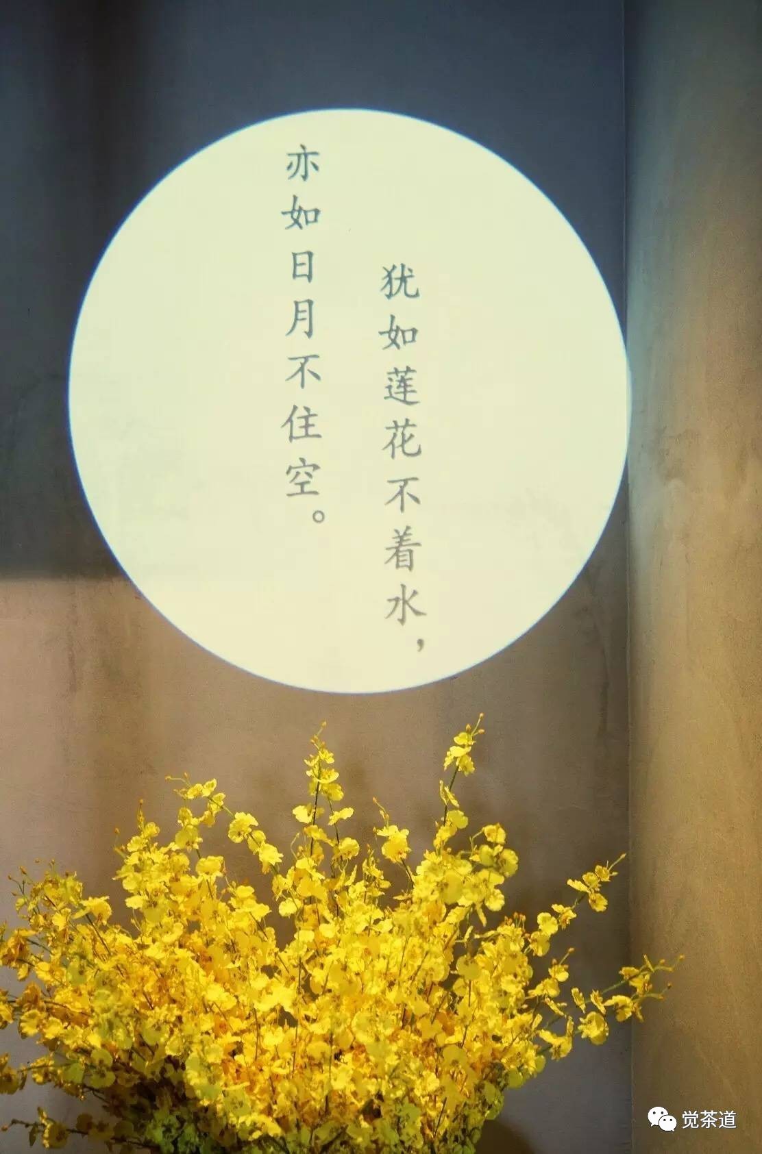 【觉茶道】品茶悟道，缘劫由心——汪云老师的茶人生