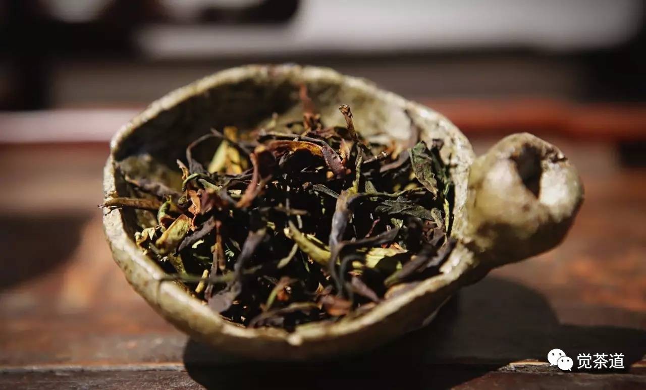 【觉茶道】品茶悟道，缘劫由心——汪云老师的茶人生