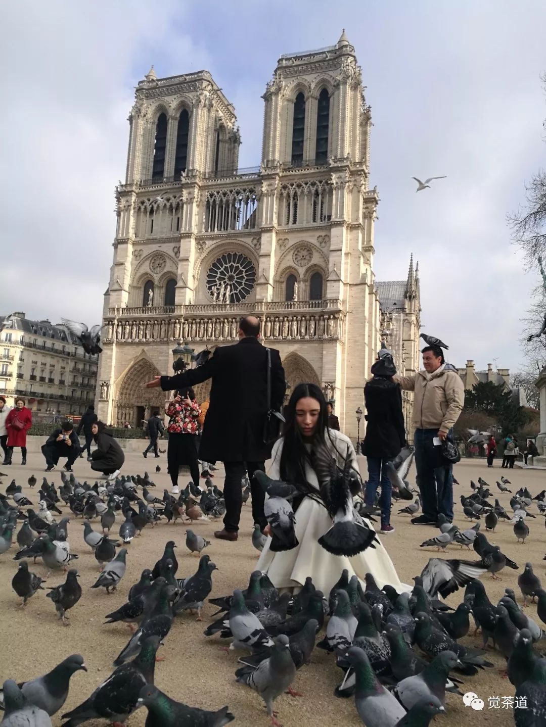 【觉茶道】汪云老师受邀法国巴黎东方文化中心