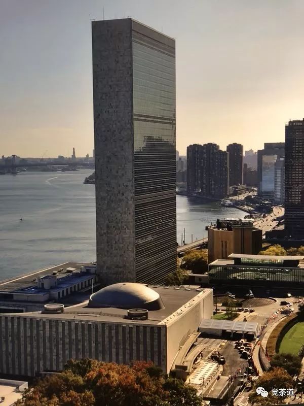 【觉茶道】汪云、郑耀添老师受邀走进联合国