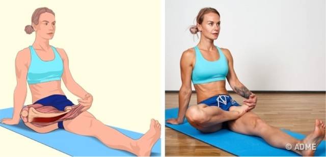 18张高清瑜伽体式解剖图，精确科学拉伸很重要！