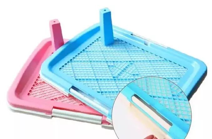 猫狗猫狗 | 2. 二胎狗娘的烦恼 猫狗猫狗 | 2. 二胎狗娘的烦恼