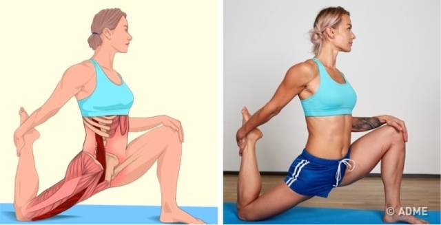 18张高清瑜伽体式解剖图，精确科学拉伸很重要！