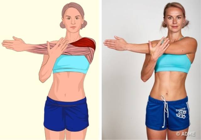 18张高清瑜伽体式解剖图，精确科学拉伸很重要！