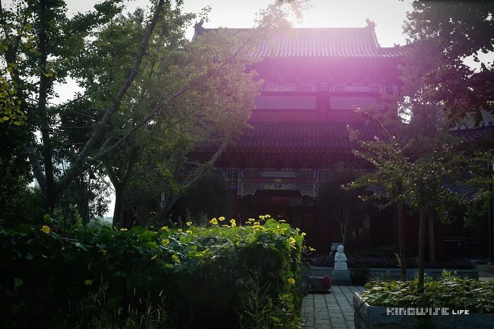 觉茶道 武汉 少儿茶艺课堂之云梦心虔寺 觉茶道 武汉 少儿茶艺课堂之云梦心虔寺