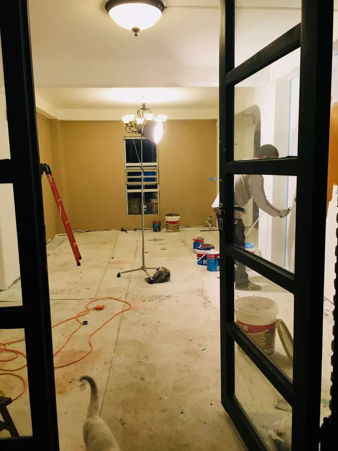 猫狗猫狗 | 2. 二胎狗娘的烦恼 猫狗猫狗 | 2. 二胎狗娘的烦恼