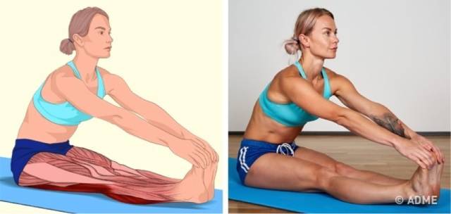 18张高清瑜伽体式解剖图，精确科学拉伸很重要！