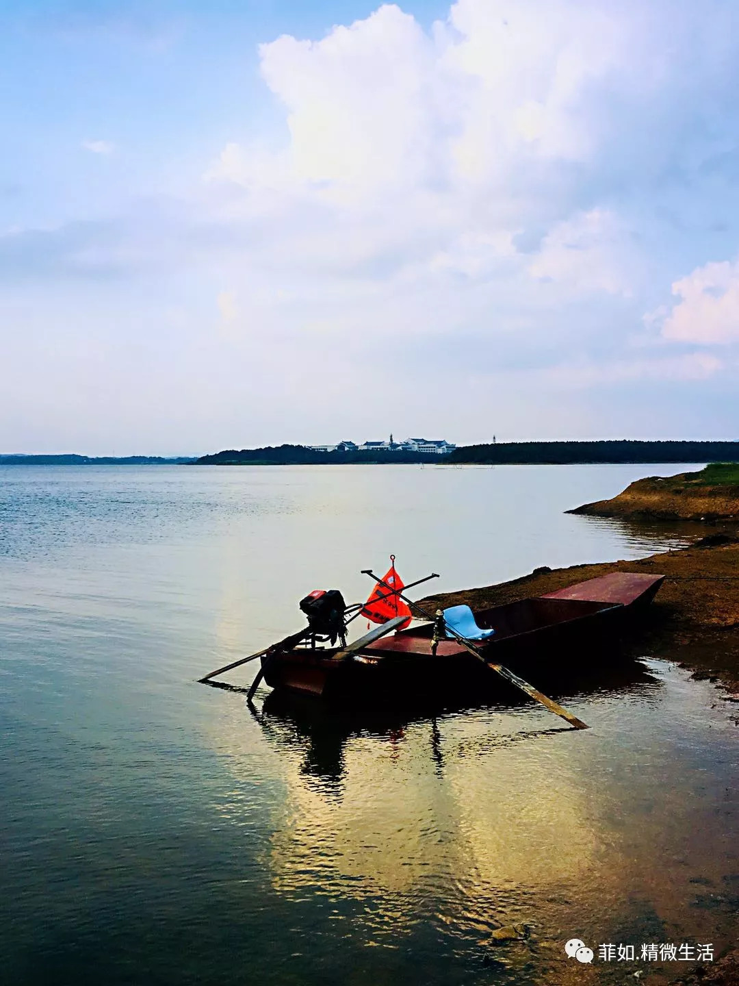 紫薇花开在梦里 紫薇花开在梦里