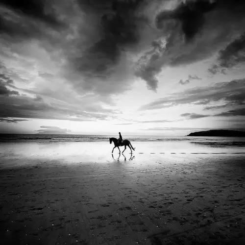 五个元素拍出好黑白作品