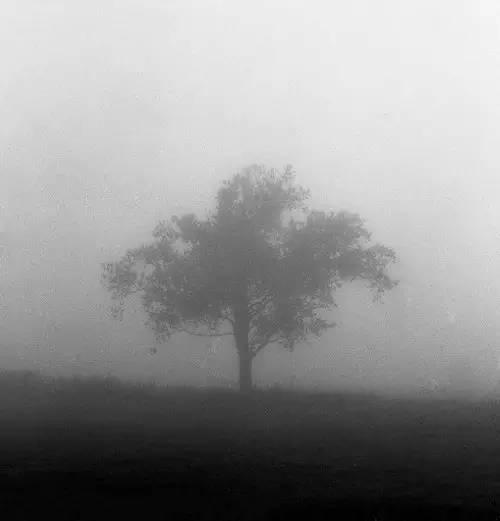 五个元素拍出好黑白作品