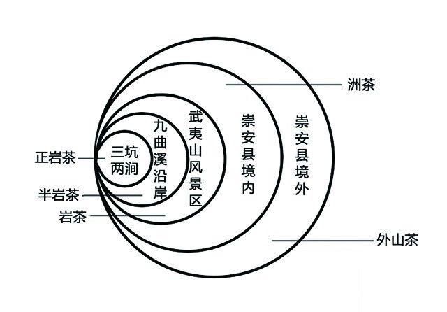 了解岩茶，从这里入门！