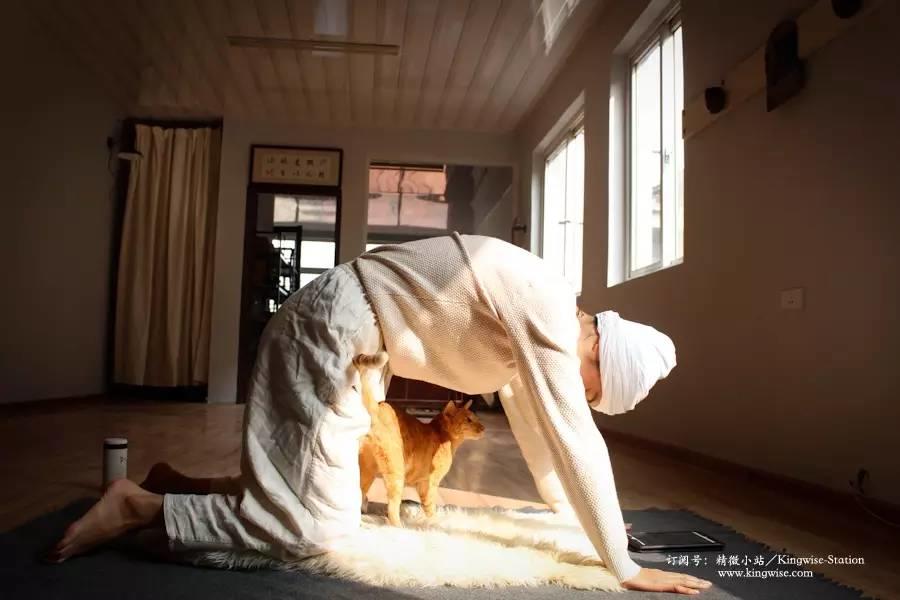 瑜伽～肾脏奎亚