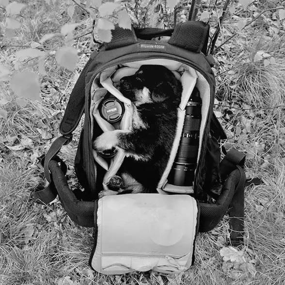 我最亲爱的小孩，是一个唐氏综合症患者