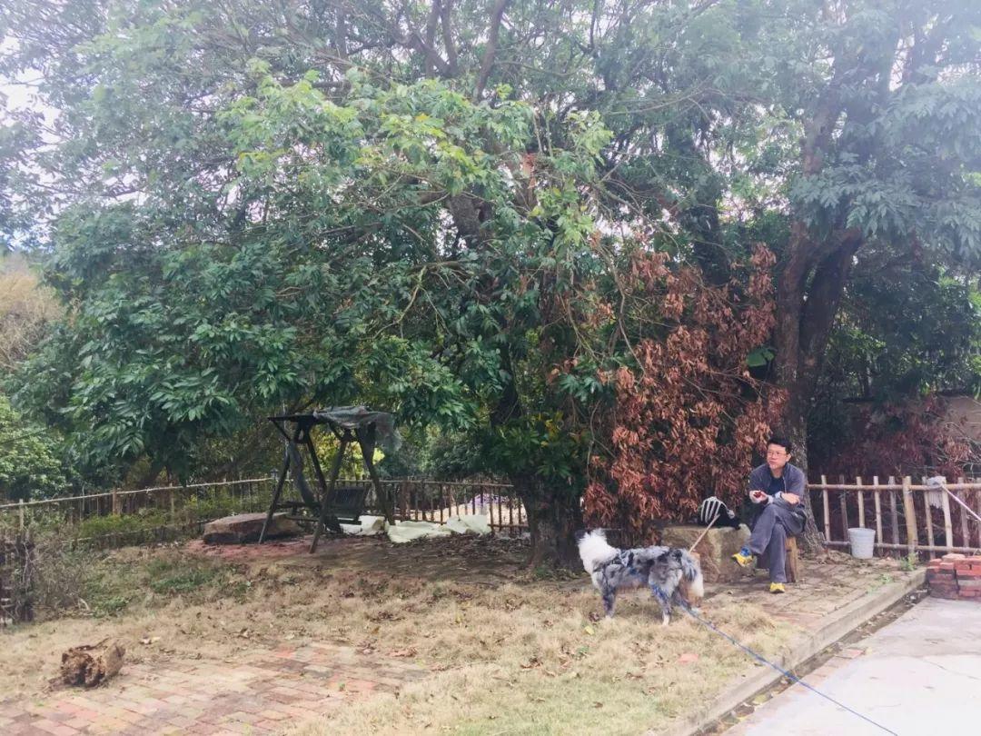 猫叔猫婶 Ｉ 我们这一年