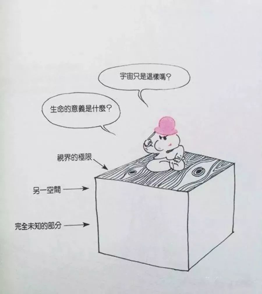 菲如～2018的回顾