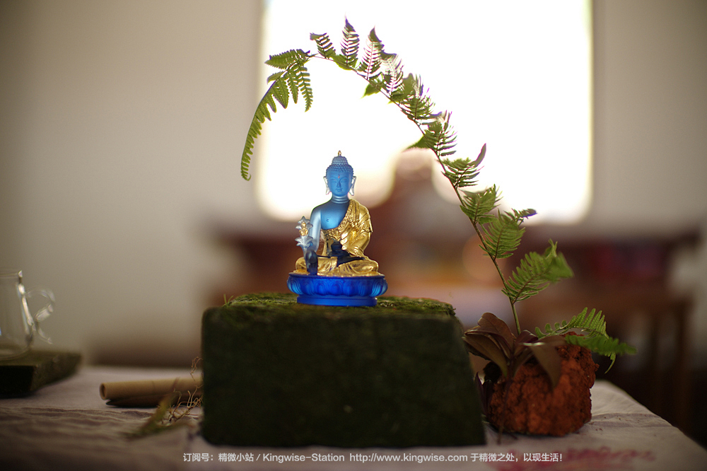 五年的时间,一群僧人,一众志愿者,在山里完成的壮举