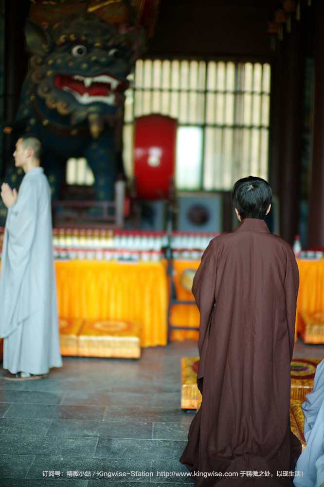 五年的时间,一群僧人,一众志愿者,在山里完成的壮举