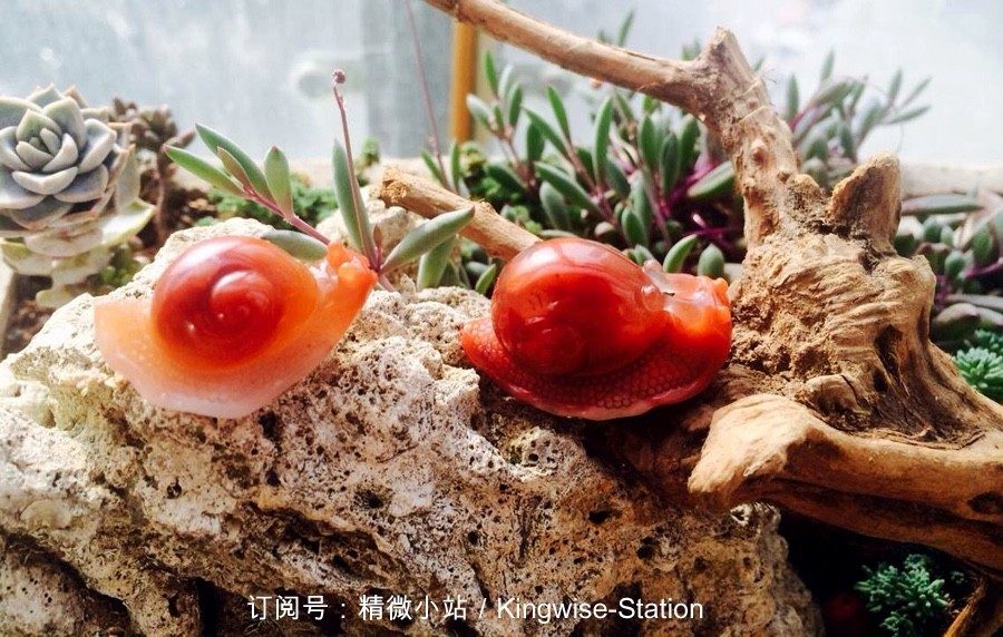 花之屋