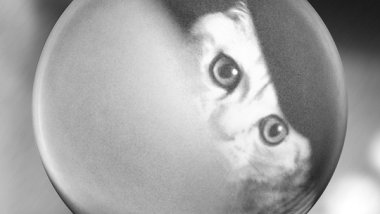 用手机拍出比单反还酷的照片