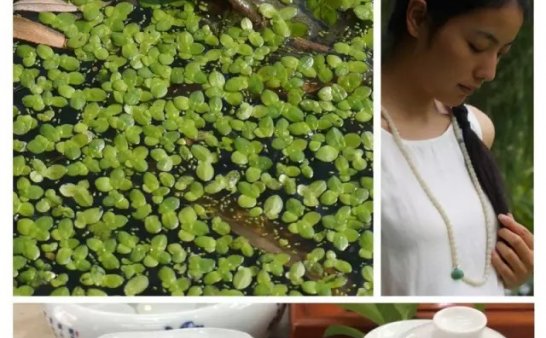 Bhagti美学堂之亲子课堂