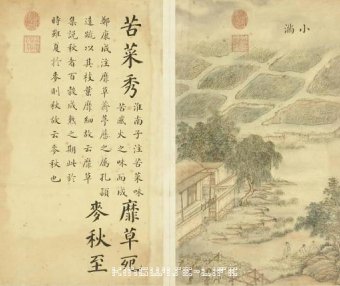 精微-小满节气生活