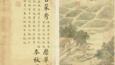 精微-小满节气生活