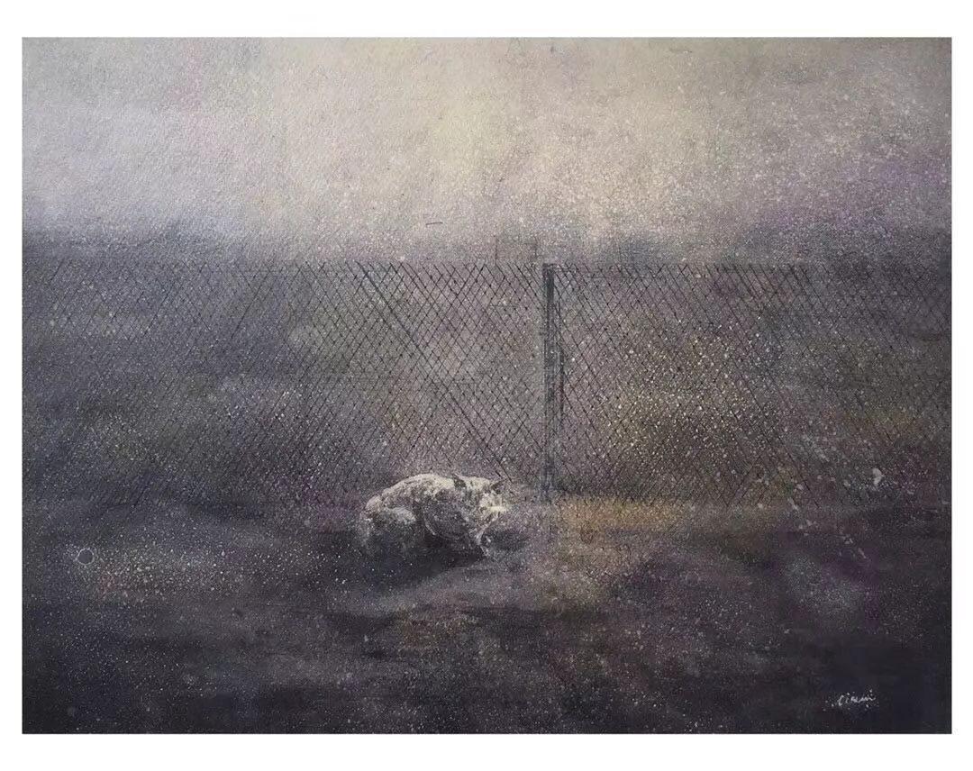 画中小白