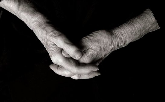 我和你，是大自然的秘密