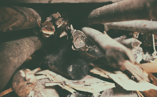 山居生活 | 我爱我的小屎车