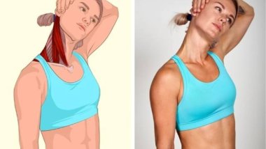 18张高清瑜伽体式解剖图,精确科学拉伸很重要!