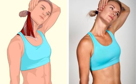 18张高清瑜伽体式解剖图，精确科学拉伸很重要！