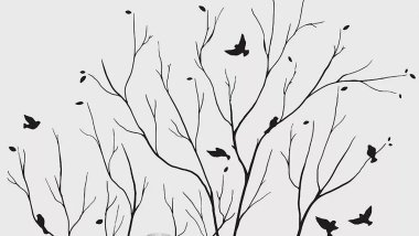 山居生活 | 已去