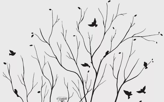 山居生活 | 已去