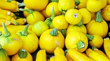 五季养生:春暖夏秋冬四季养生法则