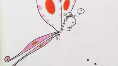 菲如~2018的回顾