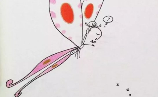 菲如～2018的回顾