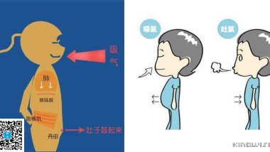 昆达里尼瑜伽解剖学-论丹田