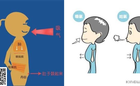 昆达里尼瑜伽解剖学-论丹田