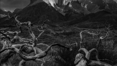 摄影 | 学好黑白摄影，先了解这十种影调！