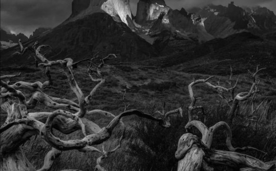 摄影 | 学好黑白摄影,先了解这十种影调!