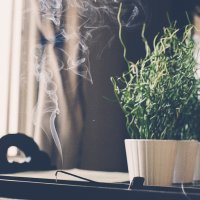 精微生活：六月末的心茶瑜伽