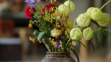 良辰当五日,悠然觉粽香。