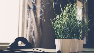 精微生活:六月末的心茶瑜伽