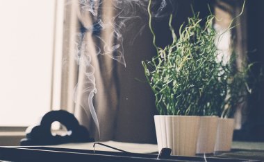 精微生活:六月末的心茶瑜伽